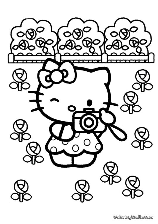 Hello Kitty con una Cámara - Página para Colorear