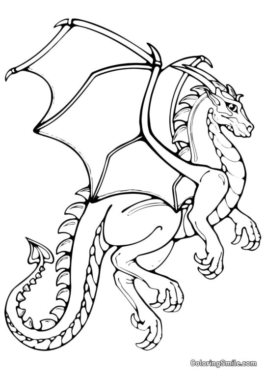 Dragón Real - Página para Colorear