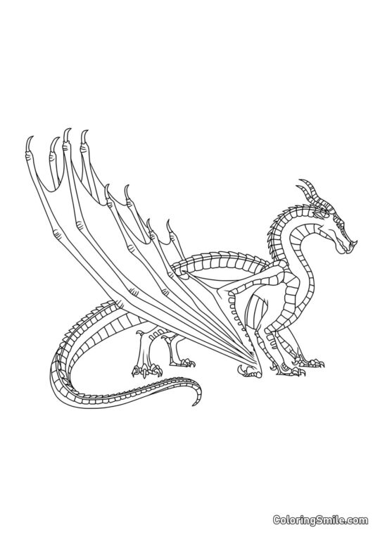 Dragón Negro - Página para Colorear