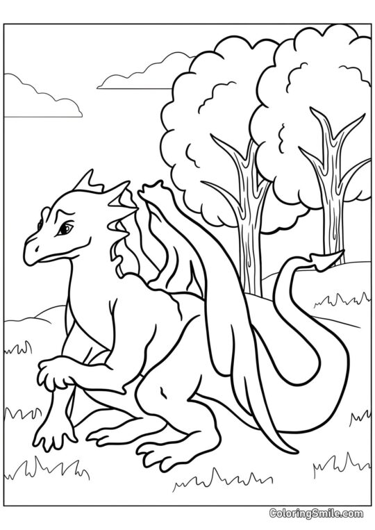 Dragón en el Bosque - Página para Colorear
