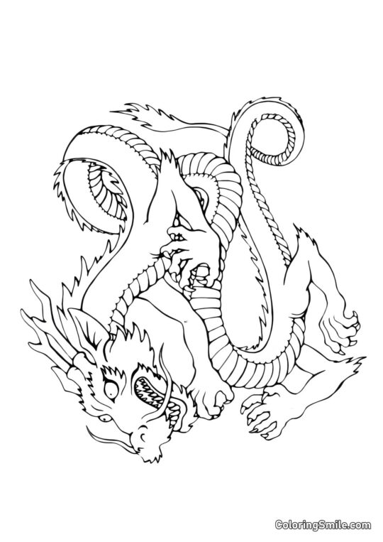 Dragón Atacante - Página para Colorear