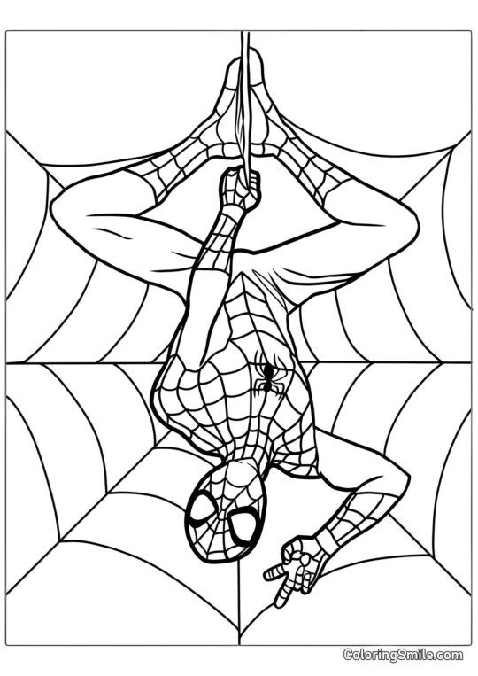 Spider-Man colgado boca abajo Spider-Man colgado boca abajo - Página para Colorear