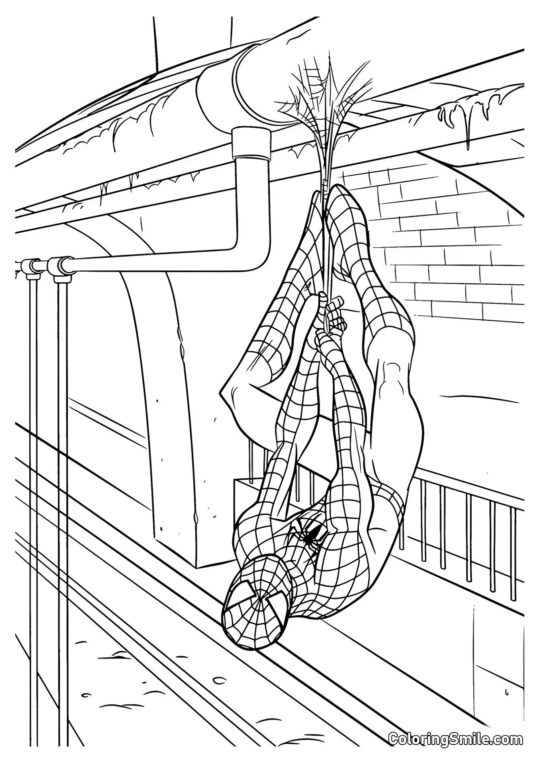 Nuevo Spider-Man Nuevo Spider-Man - Página para Colorear