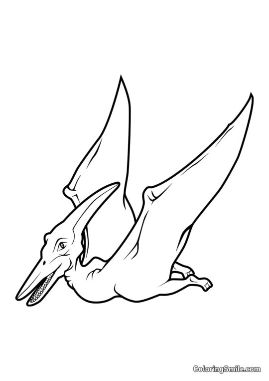Pteranodon - Página para Colorear
