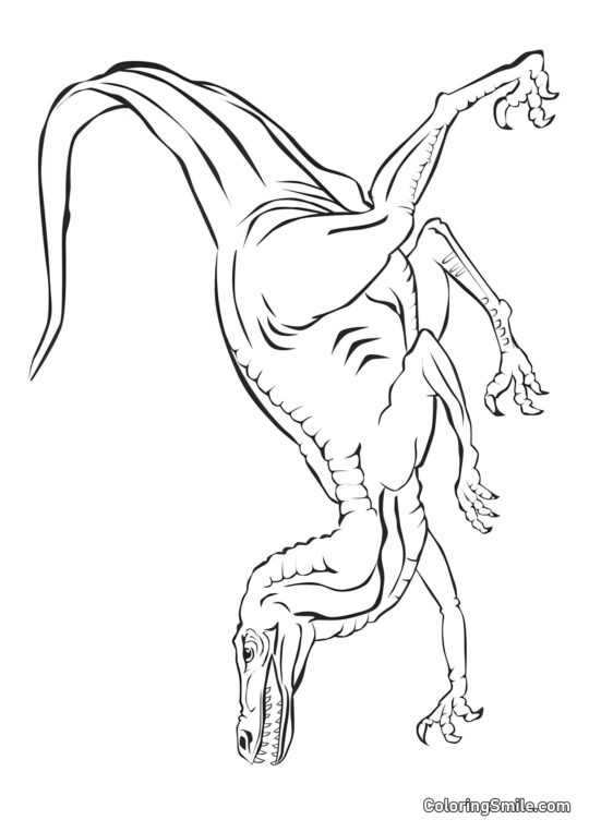 Velociraptor en la Caza - Página para Colorear
