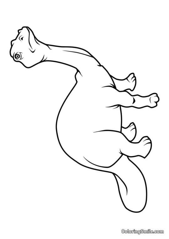 Brontosaurus - Página para Colorear
