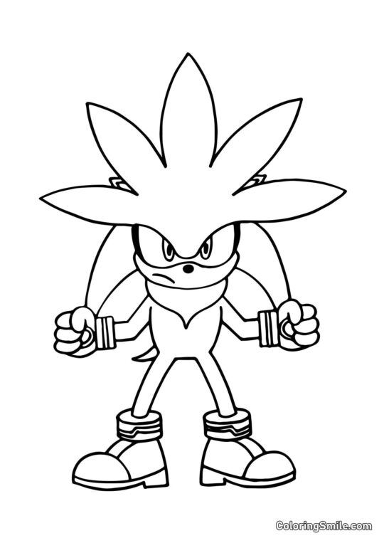 Erizo Silver - Página para Colorear