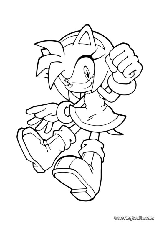 Amy Rose de Sonic - Página para Colorear