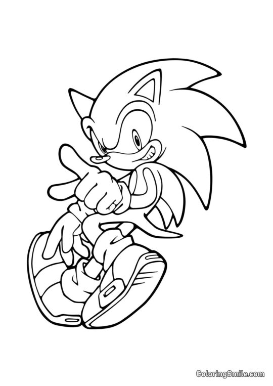 Sonic Erizo - Página para Colorear