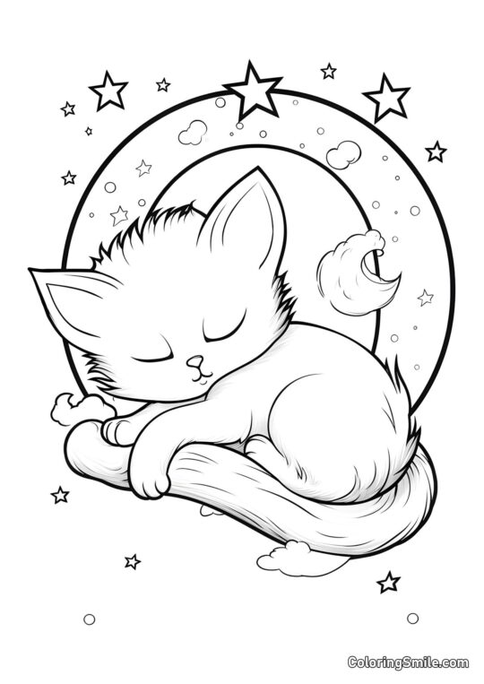 Gatito en la Luna y Estrellas - Página para Colorear