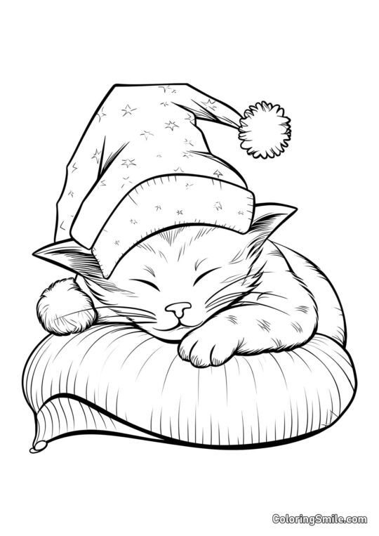 Gato Bonito Durmiendo en un Sombrero - Página para Colorear