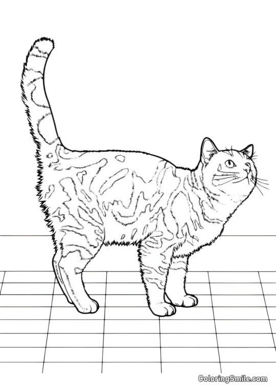 Gato en la Cocina Esperando el Almuerzo - Página para Colorear