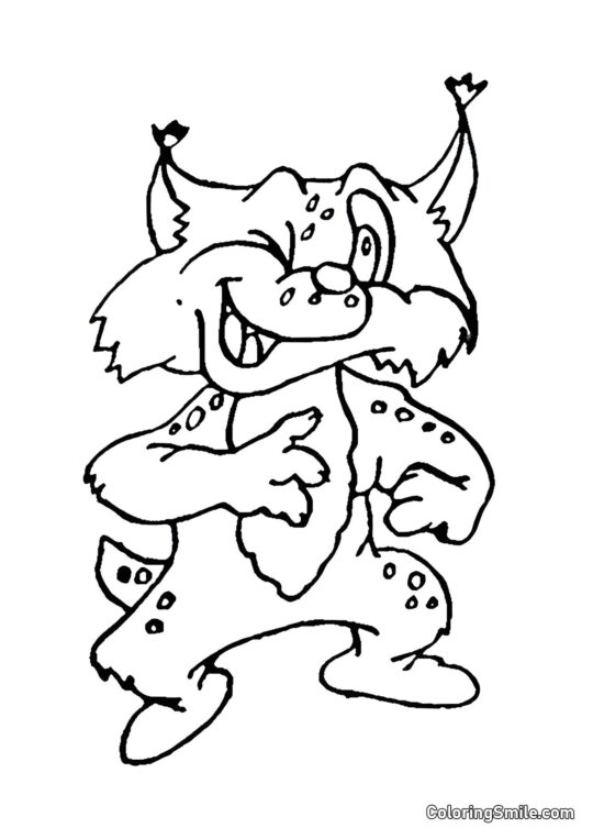 Gato Bandido - Página para Colorear