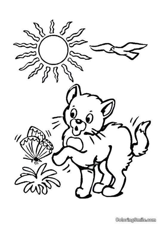 Gato y Mariposa - Página para Colorear