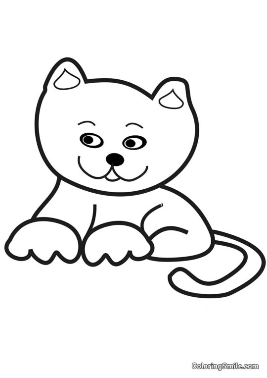 Gato Astuto - Página para Colorear