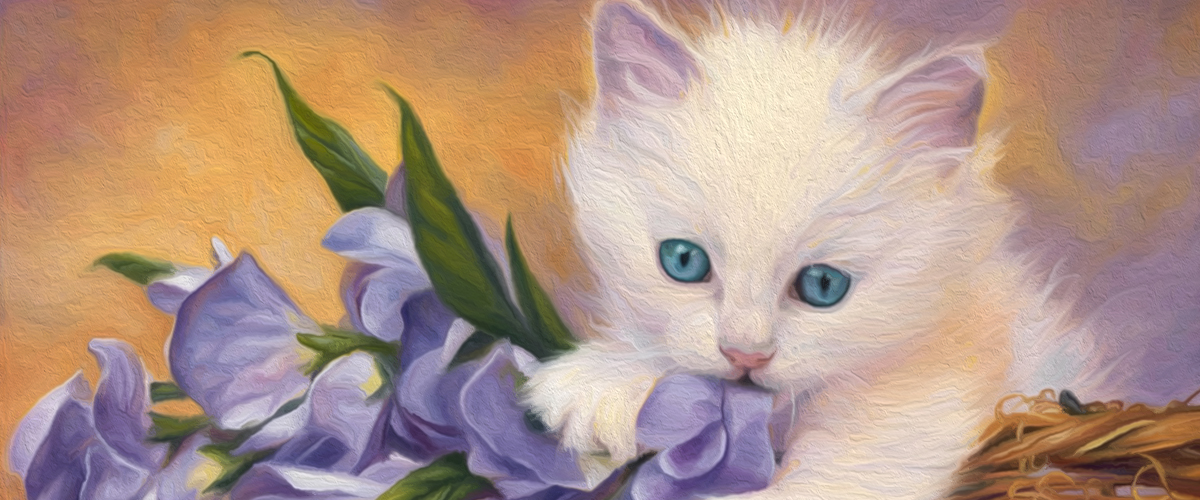 100 Dibujos de Gatos para colorear 100 Dibujos de Gatos para colorear