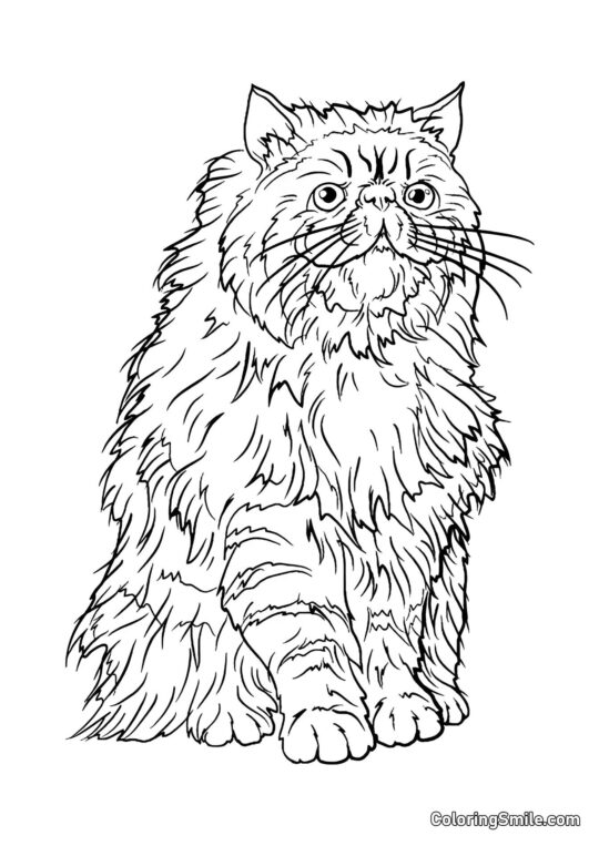 Crookshanks – el gato de Hermione Crookshanks – el gato de Hermione - Página para Colorear