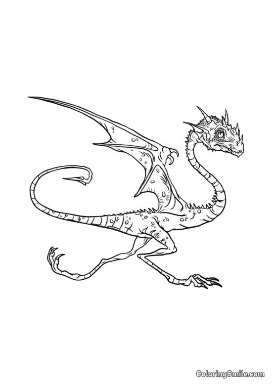 Norbert – el dragón de Hagrid Norbert – el dragón de Hagrid - Página para Colorear