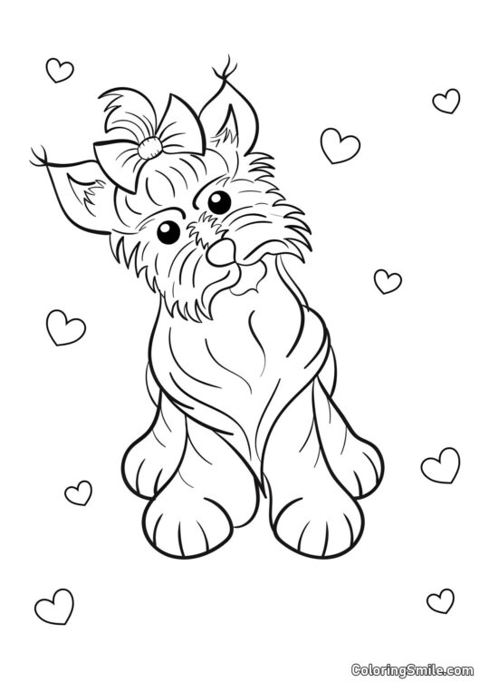 Yorkshire Terrier - Página para Colorear