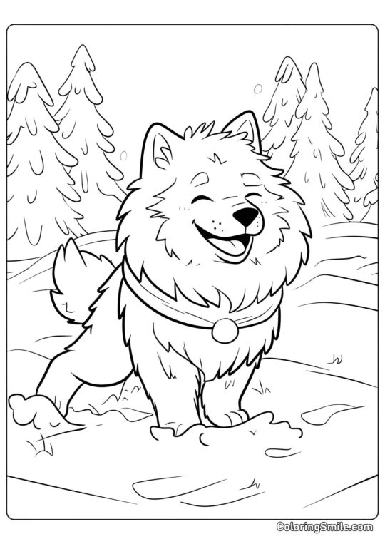 Perro Pomerania feliz - Página para Colorear
