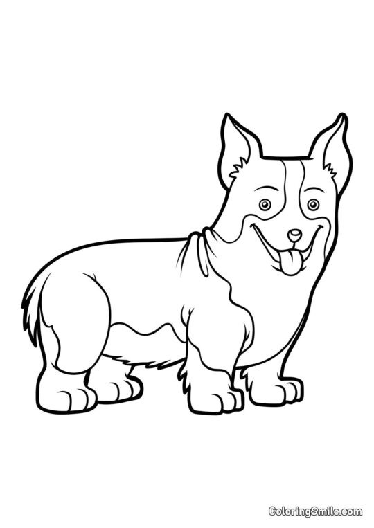 Corgi - Página para Colorear