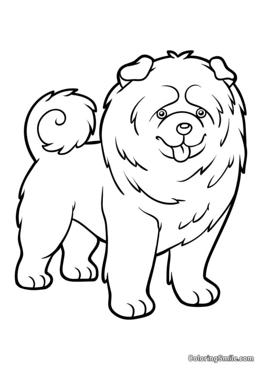 Chow Chow - Página para Colorear