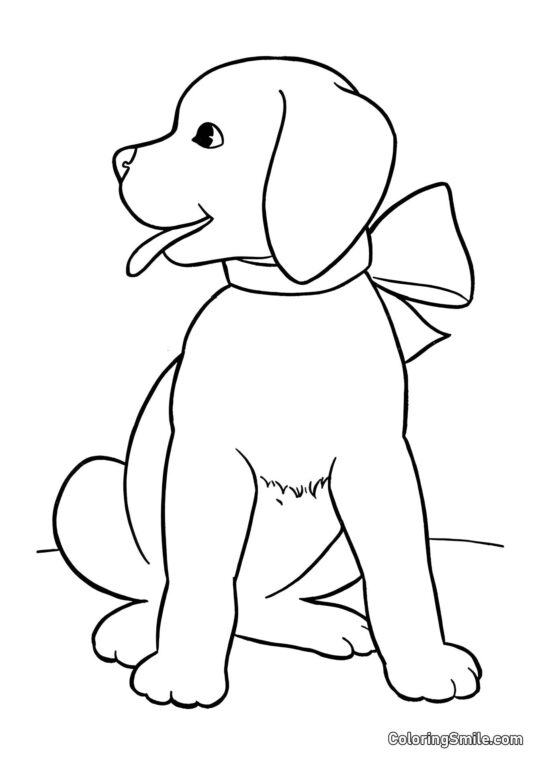 Perro elegante - Página para Colorear