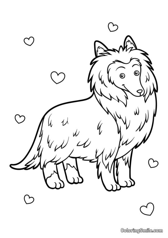 Collie - Página para Colorear