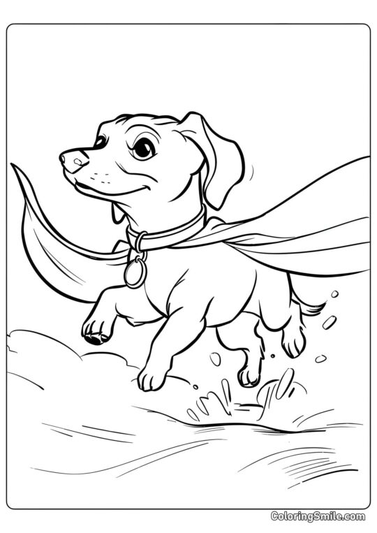 Super Dachshund - Página para Colorear
