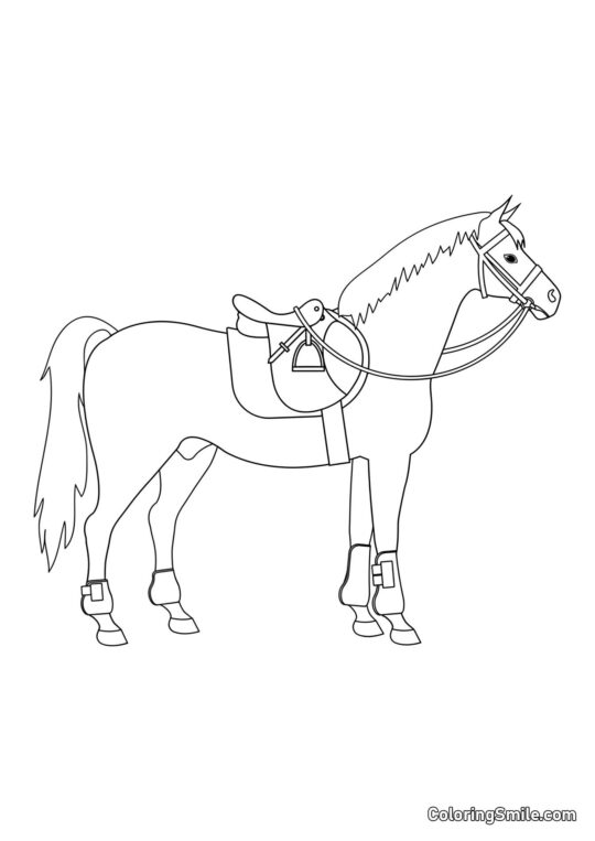 Caballo con silla - Página para Colorear