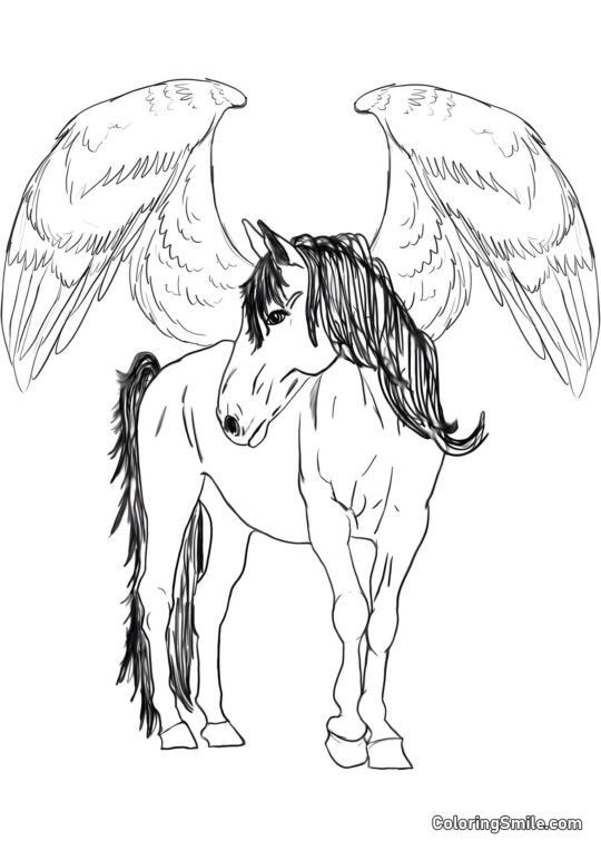 Pegaso alado - Página para Colorear