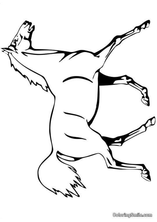 Caballo en un espectáculo - Página para Colorear