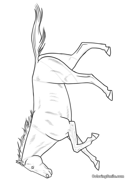 Caballo elegante - Página para Colorear