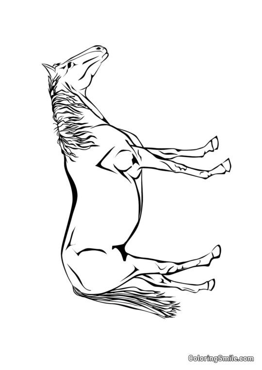 Caballo exquisito - Página para Colorear