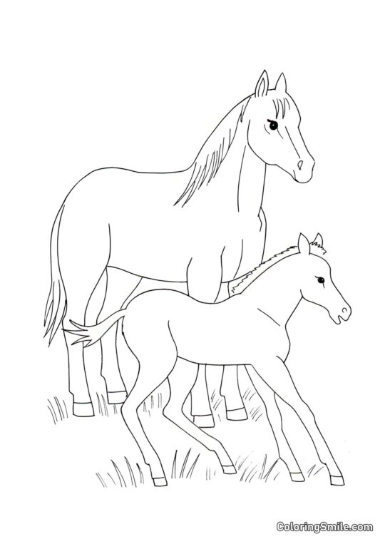 Caballos jóvenes - Página para Colorear