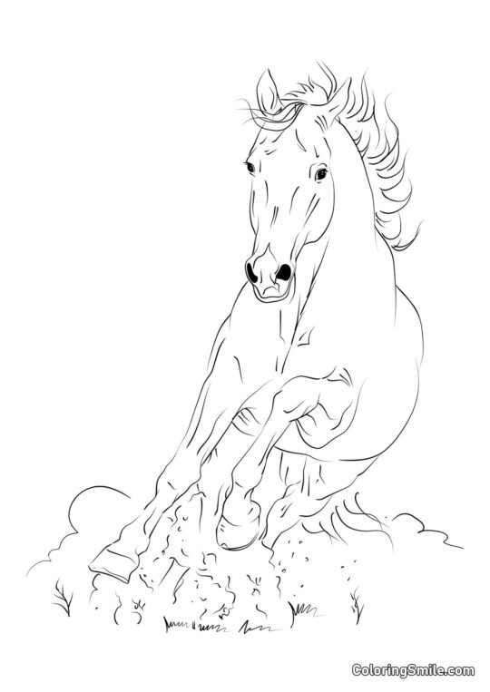 Caballo que vuela como el viento - Página para Colorear