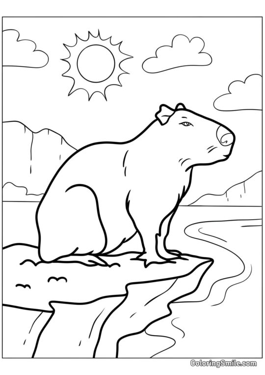 Capibara sobre una Roca Capibara sobre una Roca - Página para Colorear